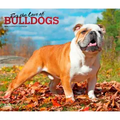 For the Love of Bulldogs | 2026 14 x 24 Inch (Hanging) Monthly Deluxe Wall Calendar | Foil Stamped Cover | Plastic-Free