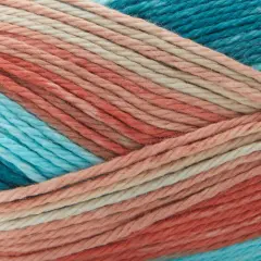 Premier Cotton Sprout Worsted Multi Yarn