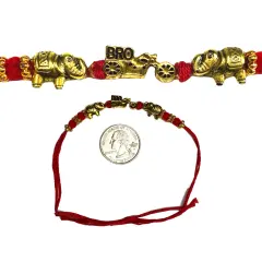 Rakhi for Brother, Rakshabandhan, Rakhri, Raksha Bandhan, Rakhdi, Rakhi Card, Usa Seller, Rakhi for Kids