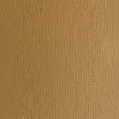 HAZELNUT - Textured 12x12 Cardstock - Encore Paper