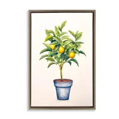 Stupell Industries Citrus Serenade Plant Floating Frame, design by Andrea Haase