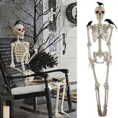 5ft Skeleton Life Size Halloween Decor with 3 Pcs Crows
