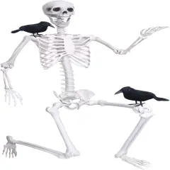 6Ft Life Size Skeleton with 2PCS Black Crows for Halloween