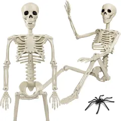 36" Skeleton Halloween Decorations, 3ft Life Size Human Skeleton with 20 Spiders