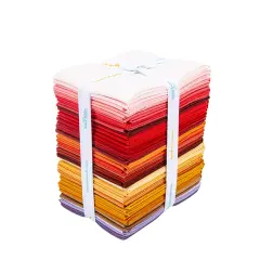 Confetti Cotton Fat Quarter Bundle in Charming by Lori Holt byfor Riley Blake (FQ-LHCHA120-36)