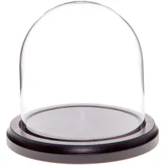 Plymor 4" x 4" Glass Display Dome Cloche Black Wood