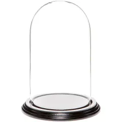 Plymor 4.5" x 8" Glass Display Dome Cloche Black Wood Veneer