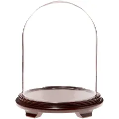Plymor 11.75" x 15" Glass Display Dome Cloche Walnut Wood Veneer