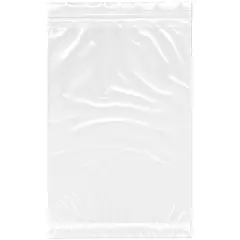 Plymor 6" x 9", 2 Mil with Pouch Zipper Reclosable Plastic Bags