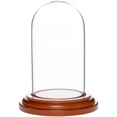 Plymor 1.85" x 3.5" Mini Glass Display Dome Cloche Walnut MDF