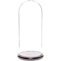 Plymor 5.5" x 13" Glass Display Dome Cloche Black Wood