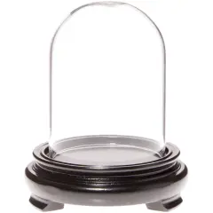 Plymor 2.5" x 3.5" Glass Display Dome Cloche Black Wood Veneer