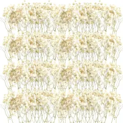 50 Pcs Mini Dried Baby Breath Flowers Wedding Ivory Natural Flowers Bulk Dried Gypsophila for Vase Brides Shower Invitation Card DIY Candle Making Decor Craft Party Resin Art, 2-4 in