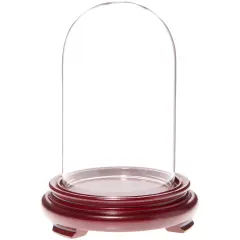 Plymor 3" x 5" Glass Display Dome Cloche Red Wood Veneer