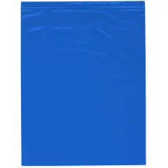 Plymor 12" x 15", Blue 2 Mil Zipper Reclosable Plastic Bags