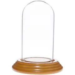 Plymor 2" x 4" Mini Glass Display Dome Cloche Oak Veneer