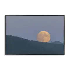 Stupell Industries Majestic Moonrise Landscape Framed Giclee Design by Nancy Crowell