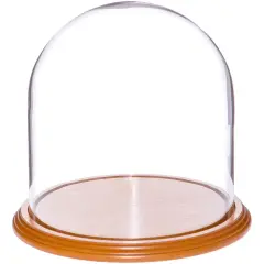 Plymor 8" x 8" Glass Display Dome Cloche Oak Veneer