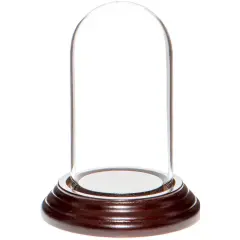 Plymor 1.85" x 3.5" Mini Glass Display Dome Cloche Dark Mahogany Veneer
