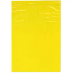 Plymor 9" x 12", Yellow 2 Mil Zipper Reclosable Plastic Bags