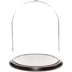 Plymor 11.75" x 15" Glass Display Dome Cloche Black Wood Veneer