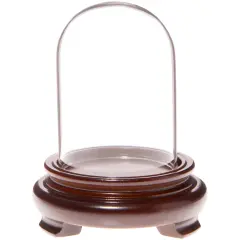 Plymor 2" x 3" Mini Glass Display Dome Cloche Walnut Wood Veneer