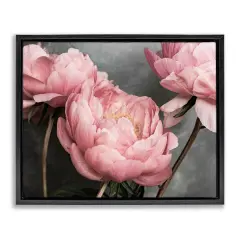 Stupell Industries Pink Peonies Trio Framed Floater Canvas Wall Art Design by Sisi and Seb