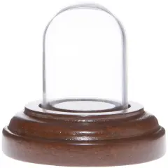 Plymor Miniature 1" x 1.5" Mini Glass Display Dome TINY Cloche Walnut Veneer