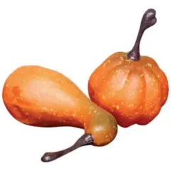 Mini Pumpkin Bowl Filler