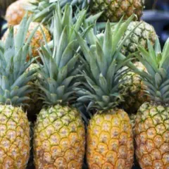Pineapple - Premium Fragrance Oil
