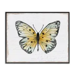 Stupell Industries Beautiful Butterfly on White Framed Giclee Wall Art Design by Janet Tava