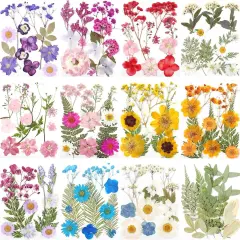 12 Packs Real Dried Flowers for Crafts