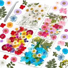 153 Pcs Dried Pressed Flowers for Crafts