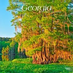 Georgia Wild & Scenic | 2026 12 x 24 Inch (Hanging) Monthly Square Wall Calendar | Plastic-Free