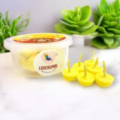 Pure Cow Ghee Wicks for Pooja Buffalo Diya Batti 35 Min Burning Time Butter Cotton Wick for Home Temple Pujan Readymade Wax Free Ghee Diya Jyot Diwali Wick Housewarming Return Gifts