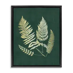 Stupell Industries Gilded Fern Sprigs Framed Floater Canvas Wall Art Design by JJ Design House LLC