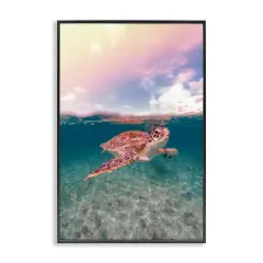 Stupell Industries Above & Below Sea Turtle Framed Giclee Wall Art Design by Max Blakesberg Studios