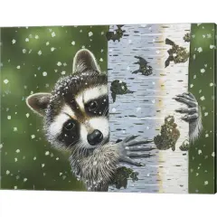 Peek-A-Boo Raccoon by William Vanderdasson 20" x 16" Canvas Wall Art