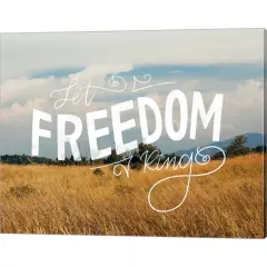 Freedom Prairie by Katie Doucette 20" x 16" Canvas Wall Art