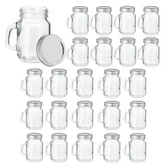 24 Pack 4 oz Mason Jars with Lids, Mini Glass Jars with Metal Lids and Handles for Arts and Crafts, DIY Projects Clear