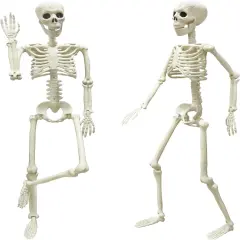 2PCS Halloween Posable Skeletons