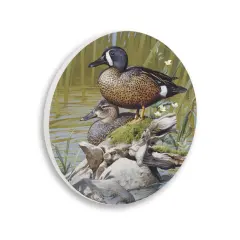 Stupell Industries Blue Winged Teal Duck Circular Wall Plaque Design by Rod Lawrence