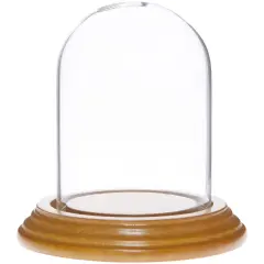 Plymor 2.5" x 3.5" Small Glass Display Dome Cloche Oak Veneer