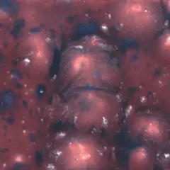 $product['description']['title']}