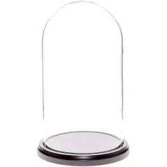 Plymor 5.5" x 10" Glass Display Dome Cloche Black Wood