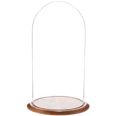 Plymor 11.75" x 23" Glass Display Dome Cloche Oak