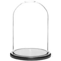 Plymor 8" x 12" Glass Display Dome Cloche Black Wood