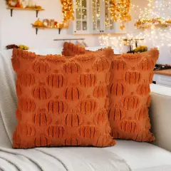 Set of 2 Fall Pumpkin Pillow Covers 18x18inch