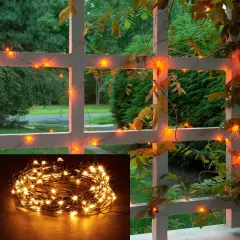 Orange Fairy Christmas Holiday String Lights, 33 ft / 10 m