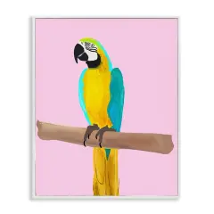 Stupell Industries Bright Parrot on Pink Framed Giclee Wall Art Design by Ashley Singleton